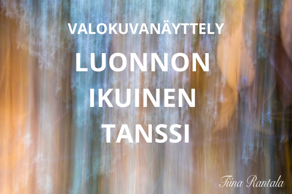 Vaaleasävyinen kuva jossa lukee näyttelyn nimi.