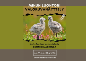 minun luontoni -näyttelyn mainos. kuvassa kaksi linnun poikasta.